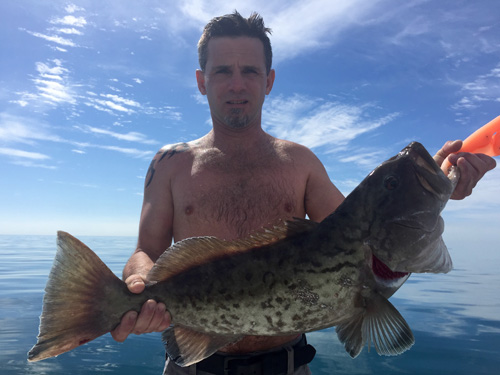 Angling Adventures gag Grouper